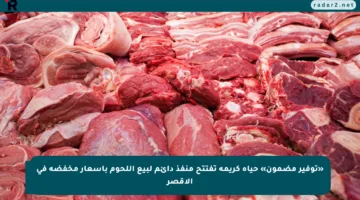 «توفير مضمون» حياة كريمة تفتتح منفذ دائم لبيع اللحوم بأسعار مخفضة في الأقصر